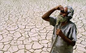 Another 56 crore to help drought-hit farmers! | दुष्काळग्रस्त शेतकऱ्यांच्या मदतीसाठी आणखी ५६ कोटी !