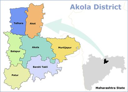drought like situation Five talukas of Akola district | अकोला जिल्ह्यातील पाच तालुके दुष्काळाच्या छायेत
