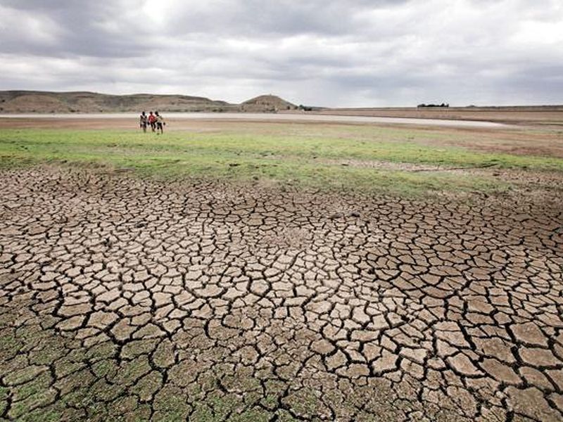 Drought cloud in the state; In the crisis of caterpillar crops | राज्यावर दुष्काळाचे ढग; खरिपाची पिके संकटात