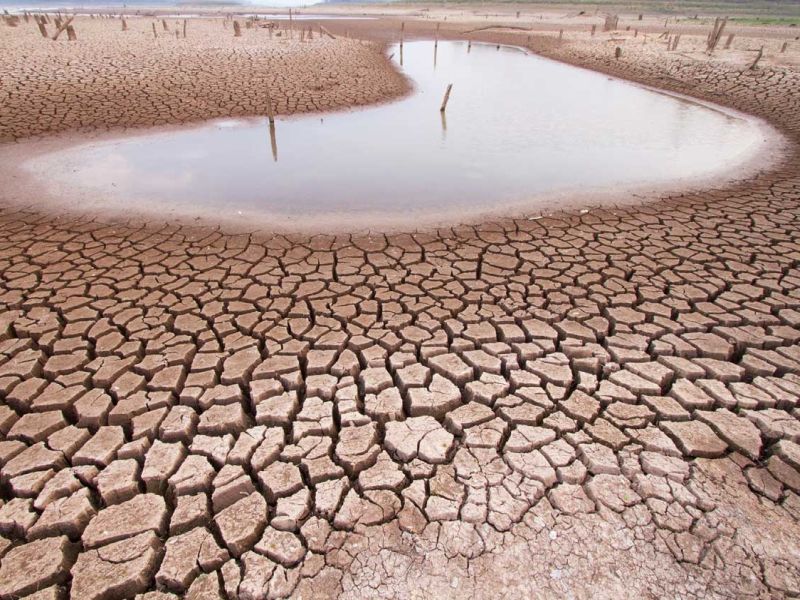 Drought has increased in Marathwada region; Civic migrations in search of water, fodder and employment | मराठवाड्यात दुष्काळाची दाहकता वाढली; पाणी, चारा, रोजगाराच्या शोधात नागरी स्थलांतराला वेग