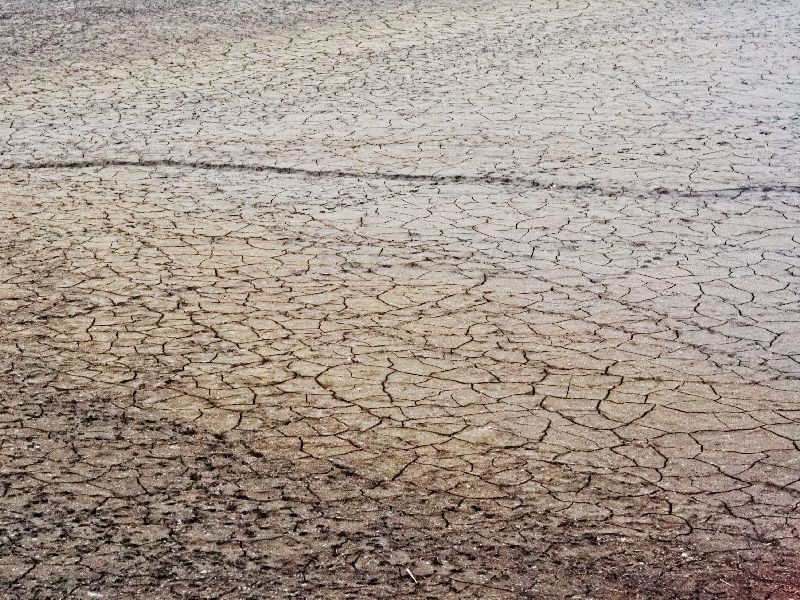 Shadow of drought on the kinvat taluka | किनवट तालुक्यावर दुष्काळाची छाया; २१ प्रकल्पांपैक्की ५ मृत तर इतरांमध्ये २० टक्केच जलसाठा