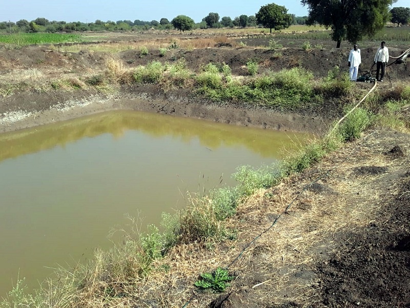 agriculture lake's village Mirzapur; Sustainable water received from water conservation at Parabhani | शेततळ्यांचे गाव मिर्झापूर; जलसंधारणातून मिळाले शाश्वत पाणी