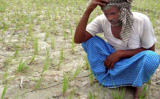  Distress of drought caused by farmers in the area of ​​Waluj | वाळूज परिसरात शेतकऱ्यांनी मांडल्या दुष्काळाच्या व्यथा