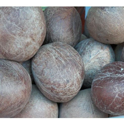 Action of FDA: Rs. 45 lakhs of coconuts seized | एफडीएची कारवाई : ४५ लाख रुपयांचे खोबरे, विलायची जप्त