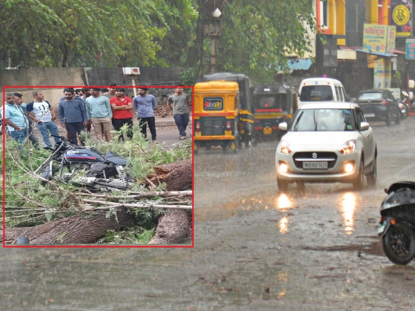 Kolhapur city lashed by rain with gale force winds; Bike rider injured after tree fell on bike | कोल्हापूर शहराला वादळी वाऱ्यासह पावसाने झोडपले; दुचाकीवर झाड कोसळले, दुचाकीस्वार जखमी