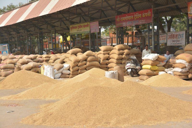 Soybean arrivals increase in Akola market committee! | अकोला बाजार समितीत वाढली सोयाबीनची आवक!