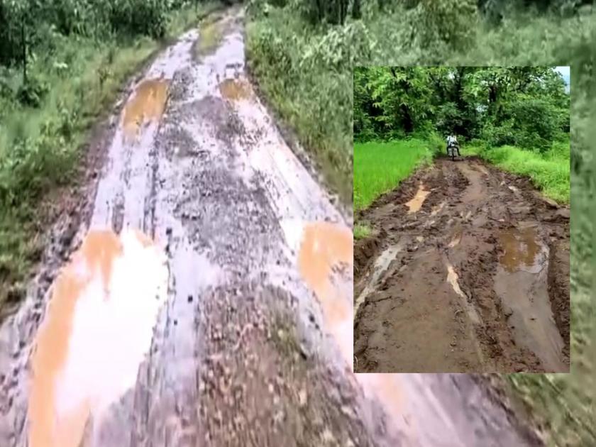 15 village roads of Shahapur cleared; Forest department approval for the site | शहापूरच्या १५ गांव रस्त्यांचा मार्ग मोकळा; जागेला वनविभागाची मंजुरी 