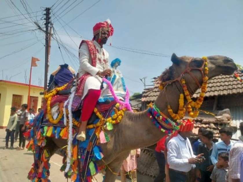 The groom in Bhadravati has set out on a camel to reach in wedding mandap | घोडा-गाडी नाही, चक्क उंटावरून निघाली लग्नाची वरात