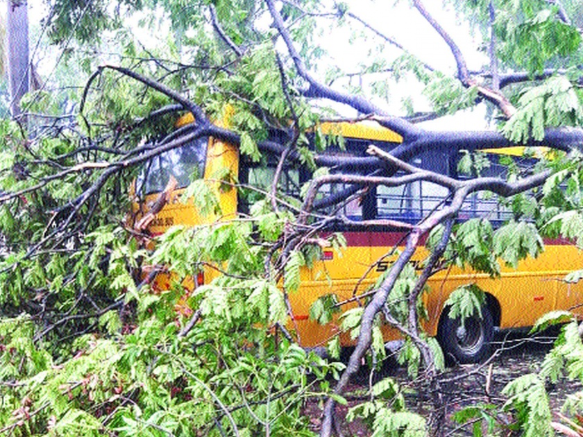 Damage due to falling trees at Khopoli, Khalapur | खोपोली, खालापूरला झाडे पडल्याने नुकसान