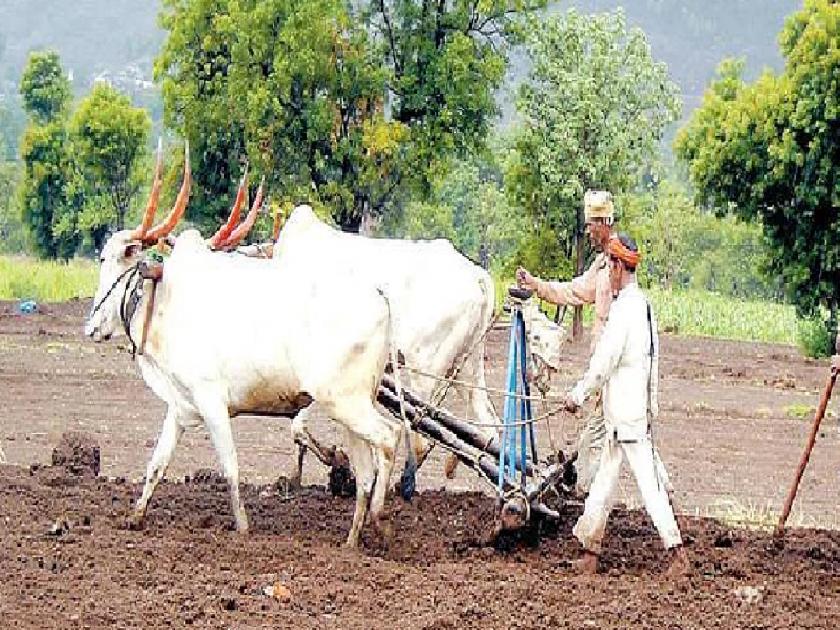Crisis of double sowing in Jat taluka sangli district | Rain: एकीकडे दमदार तर दुसरीकडे दुष्काळ, जत तालुक्यावर दुबार पेरणीचे संकट