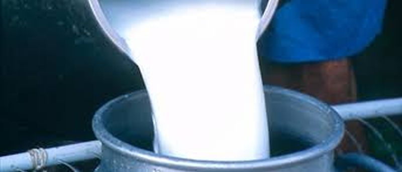 Will send Akola's milk to western Maharashtra! | अकोल्याचे दूध पश्चिम महाराष्ट्रात पाठविणार!