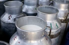 Milk scarcity in rural areas | ग्रामीण भागात दूध टंचाई