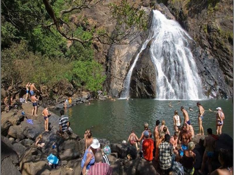 Challenge to save Goa's dudhsagar waterfall | गोव्याचा दुधसागर धबधबा वाचविण्याचे आव्हान
