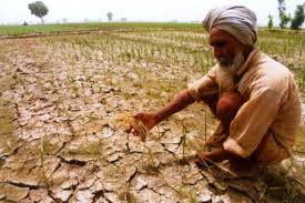 The farmers of drought-hit taluka now need help! | दुष्काळी तालुक्यातील शेतकऱ्यांना आता मदतीची आस!