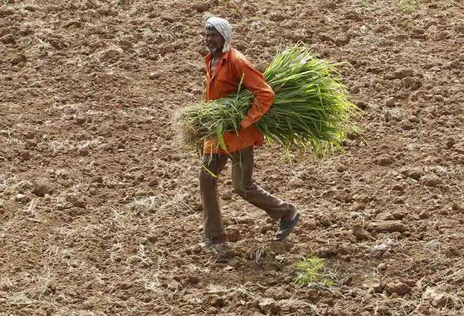 BJP promises to give free loans to three lakh farmers | तीन लाख शेतकऱ्यांना बिनव्याजी कर्ज देण्याचे भाजपचे आश्वासन