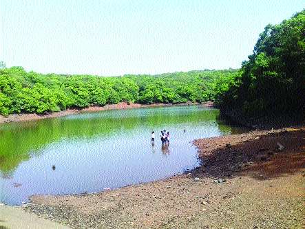 Matheran contains plenty of water | माथेरानमध्ये मुबलक पाणीसाठा
