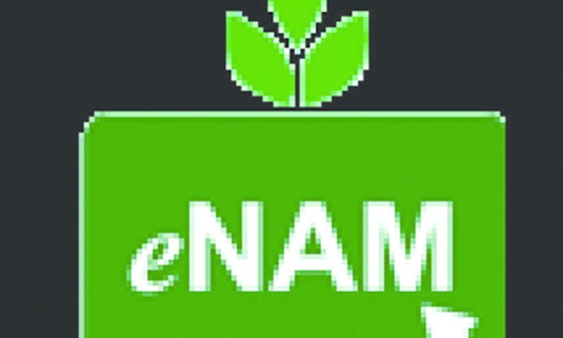 E-Nam scheme can increase unemployment! | ई-नाम योजनेमुळे बेरोजगारीत वाढ होण्याची शक्यता!
