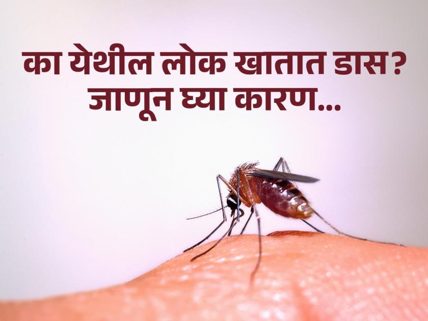 People here eat one lakh mosquitoes in a day, Know the reason | एका दिवसात एक लाख डास खातात येथील लोक, हैराण करणारं आहे कारण...