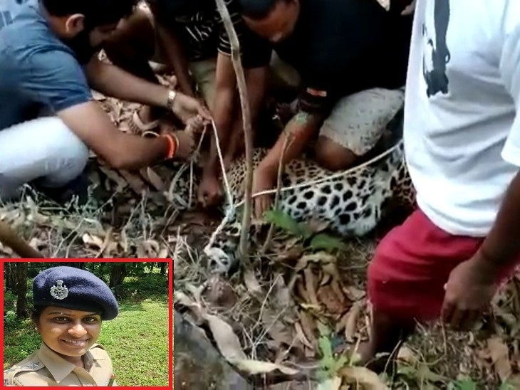 Blood flowing through the feet, still did not dare; forest officers caught such a leopard pnm | शाब्बास रणरागिणी! महिला अधिकाऱ्यावर बिबट्याचा हल्ला, पायातून रक्त वाहू लागले तरीही...