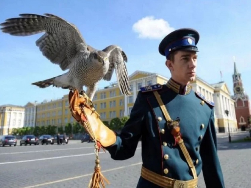 Eagle and Owls is guarding Russian president Vladimir Putin house Kremlin in moscow | 'या' देशात राष्ट्राध्यक्षांच्या निवासस्थानाची सुरक्षा करतात गरूड आणि घुबडं, याला आहे खास कारण!