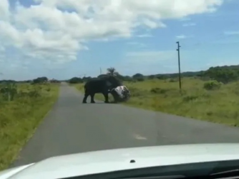 elephant flips the car in anger video goes viral on social media | Viral Video: हत्तीला आला इतका राग की केलं हैराण करणारं कृत्य, पाहुन होईल थरकाप