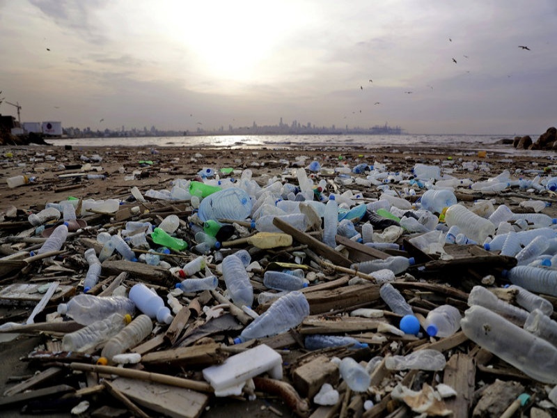 EIA 2020 draft will destroy environment! | ‘ईआयए २०२०’ मसुदा पर्यावरणाच्या मुळावर!