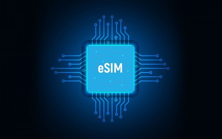 should you use e sim know about its benefits | तुम्ही ई-सिमचा वापर करायला हवा का?