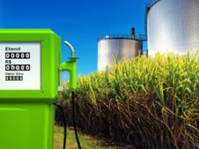 State Co-operative Bank will provide credit for ethanol production | राज्य सहकारी बँक इथेनॉल निर्मितीसाठी करणार पतपुरवठा