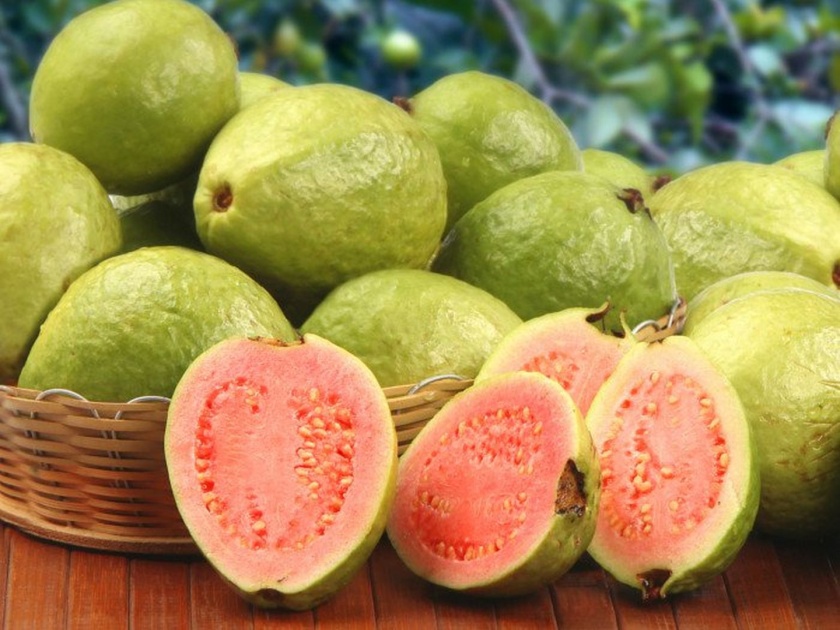 know the benefits of eating guava in empty stomach | रिकाम्या पोटी पेरू खाल्याने पोट साफ होण्यासह मिळेल 'या' गंभीर आजारांपासून सुटका!