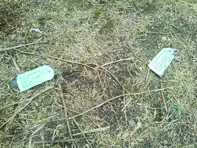 EVM machine machine seal tag found in Balaji Temple area in the area | ईव्हीएम मशीन यंत्राचे सील टॅग आढळले लोह्यातील बालाजी मंदिर परिसरात