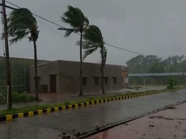 Cyclone Amphan: Cyclone Amphan begins in Odisha; Many trees collapsed pnm | Cyclone Amphan: ओडिशामध्ये ‘अम्फान’ चक्रीवादळाच्या प्रकोपाला सुरुवात; अनेक झाडं कोसळली