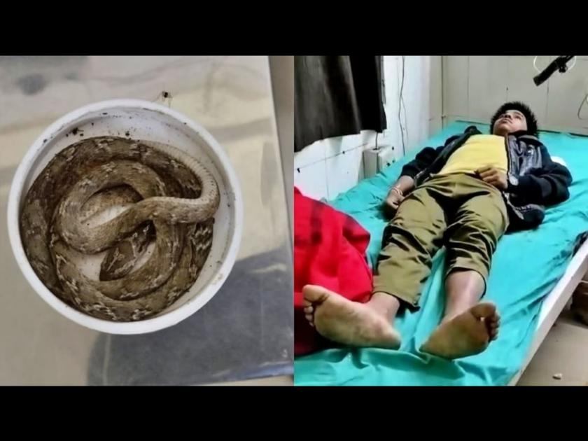 Boy reached hospital with cobra snake that bit him doctors surprised in Banda | ज्या सापाने दंश केला त्याला घेऊन तरूण हॉस्पिटलमध्ये गेला, बघून डॉक्टरही झाले हैराण