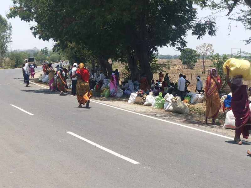 After inspecting 3771 laborers from Gadchiroli district, they were sent to native place | गडचिरोली जिल्ह्यातून ३७७१ मजुरांची तपासणी करून स्वगावी पाठवले
