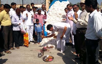 The beginning of the purchase of cotton in Nandurbar district | नंदुरबार जिल्ह्यात कापूस खरेदीला सुरूवात