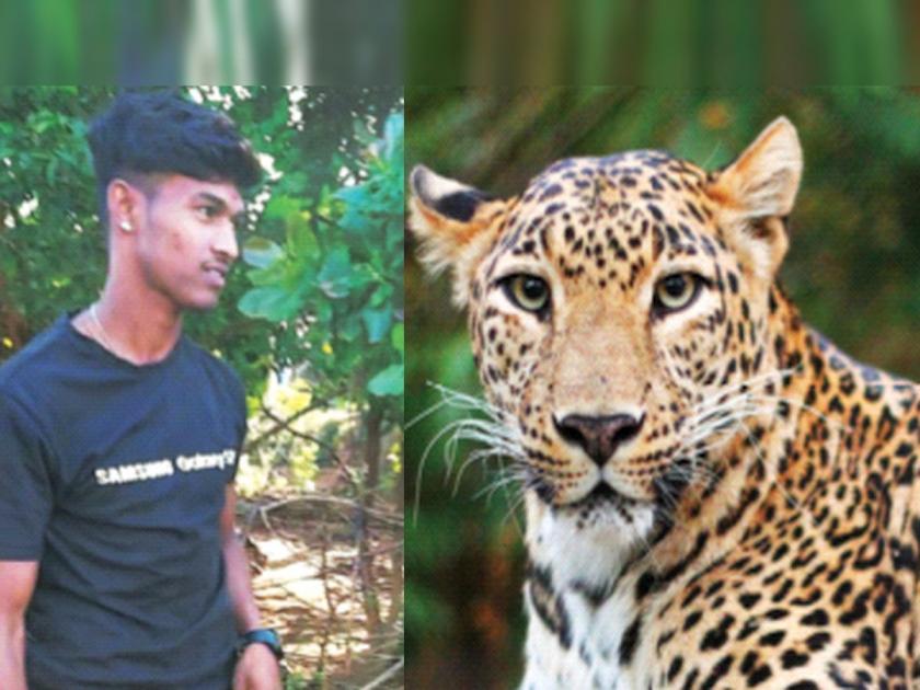The youth fight with the leopard Incident near Kasara, villagers panic | शेतामधील तरुणाने केले बिबट्याशी दाेन हात; कसाऱ्याजवळील घटना, ग्रामस्थ भयभीत 