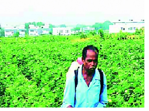  Banks' handlooms for crop loan in Kolhapur district: 96% out of the objective loan disbursement | कोल्हापूर जिल्ह्यात पीककर्जासाठी बँकांचा हात सैल : उद्दिष्टापैकी ९६ टक्के कर्जवाटप