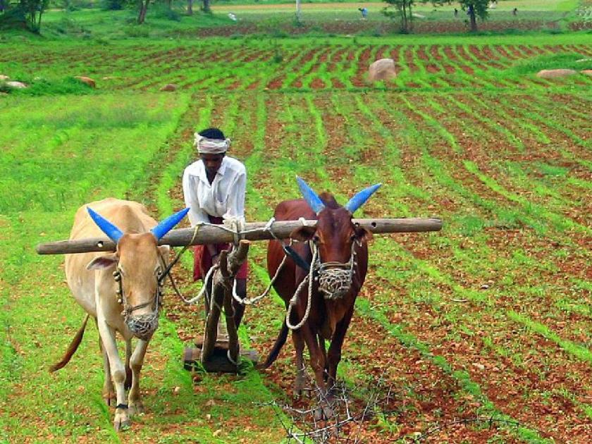 150 rupees will not be deposited in the account of 1.92 beneficiaries from farmer families! | शेतकरी कुटुंबातील १.९२ लाख लाभार्थींच्या खात्यात महिन्याला जमा होईनात १५० रुपये!