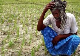 Drought situation in eight talukas of Nashik district | नाशिक जिल्ह्यातील आठ तालुक्यात दुष्काळसदृश परिस्थिती