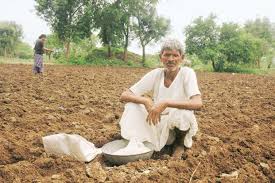 Maintains irrigation backlog; plight of farmers | सिंचन अनुशेष कायम; शेतक-यांची दैना