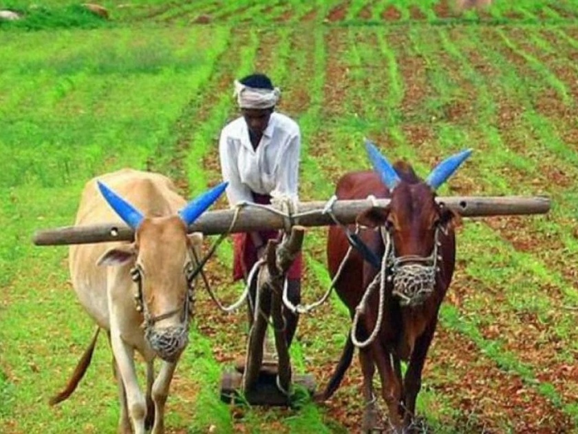 Agricultural Reform Bill in monsoon session, state decision | कृषी सुधारणा विधेयक पावसाळी अधिवेशनात, राज्याचा निर्णय 