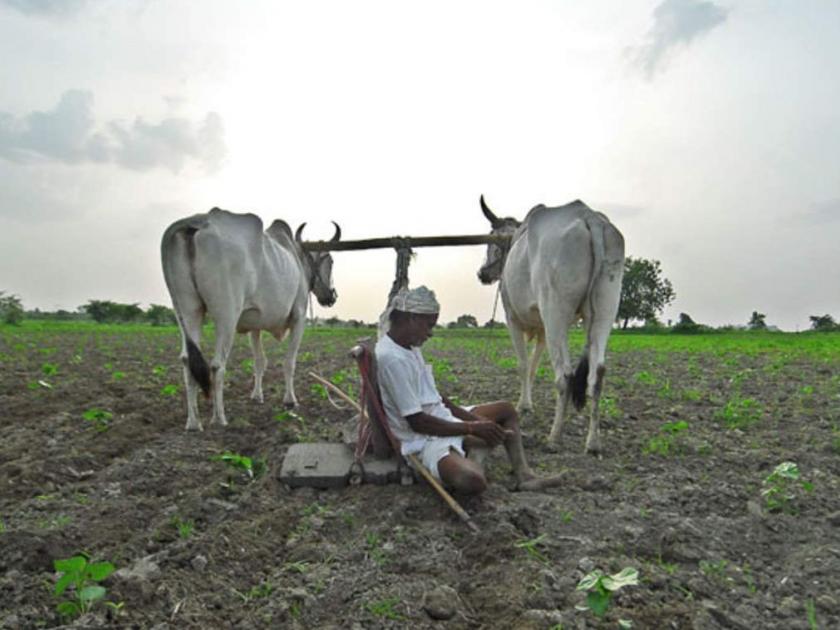 ‘In Vidarbha, there is no purchase of cotton, no soybean, no help to the farmers | ‘विदर्भात ना कापूस, सोयाबीन खरेदी, ना शेतकऱ्यांना मदत