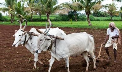 Savawakoti's debt waiver for two hundred farmers of Ralegan Siddhi | राळेगणसिद्धीमधील दोनशे शेतक-यांना सव्वाकोटींची कर्जमाफी