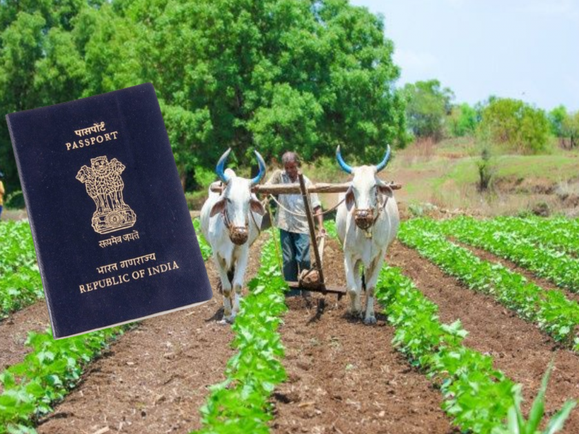 Farmers apply for passport, study tour abroad for farmers through agriculture department | शेतकरी दादा पासपोर्ट काढून घ्या, कृषी विभागामार्फत शेतकऱ्यांसाठी विदेशात अभ्यास दौरा