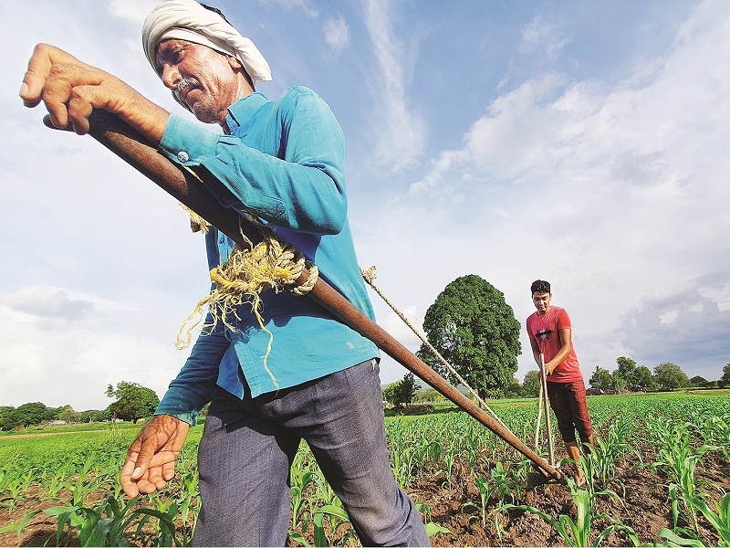 Farmers get freedom of sale after 40 years of struggle; Farmers' support for three agricultural laws | ४० वर्षांच्या लढ्यानंतर शेतकऱ्यांना मिळतेय विक्री स्वातंत्र्य; तीन कृषी कायद्यांना शेतकरी संघटनेचा पाठिंबा