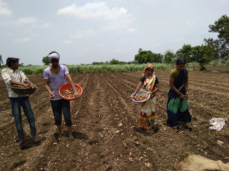 In Nanded district, Farmers at work after heavy rain fall of the before monsoon | नांदेड जिल्ह्यात मान्सून पूर्व पावसाच्या जोरदार हजेरीनंतर बळीराजाची पेरणीसाठी लगबग 