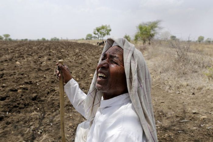 Farmers in Nagpur district free of debt | नागपूर जिल्ह्यातील २३ हजारावर शेतकरी कर्जमुक्त