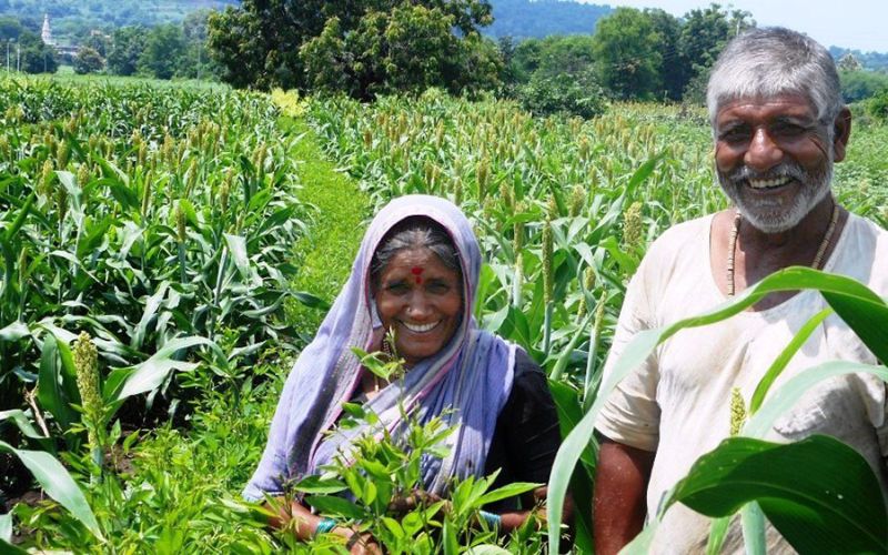 Farmers in Nagpur district free of debt | नागपूर जिल्ह्यातील ३१ हजारावर शेतकरी कर्जमुक्त
