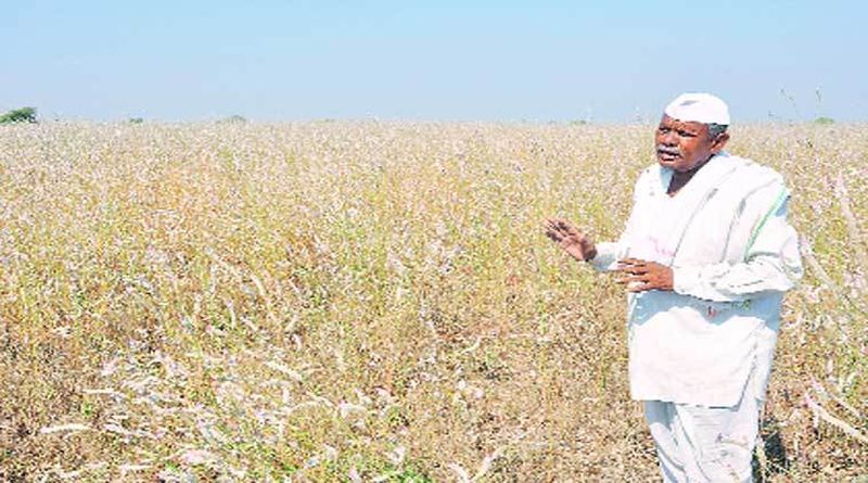 Quarter to Three lakh farmers will be debt free in Nagpur region | नागपूर विभागातील पावणेतीन लाख शेतकरी होणार कर्जमुक्त