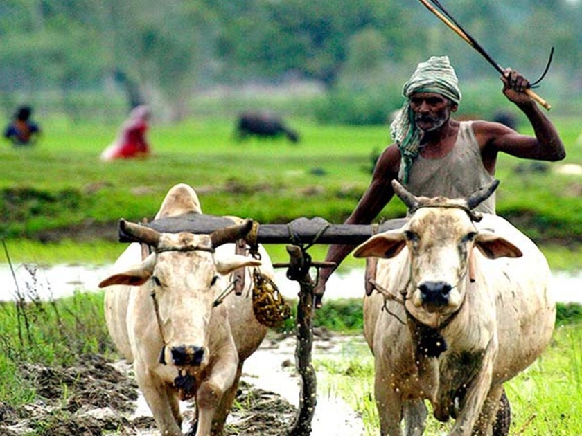 Loan Waiver Scheme Makes Farmers Lazy Says Haryana Cm Manohar Lal Khattar | भाजपाचे मुख्यमंत्री म्हणतात, कर्जमाफीनं शेतकरी सुस्तावतात