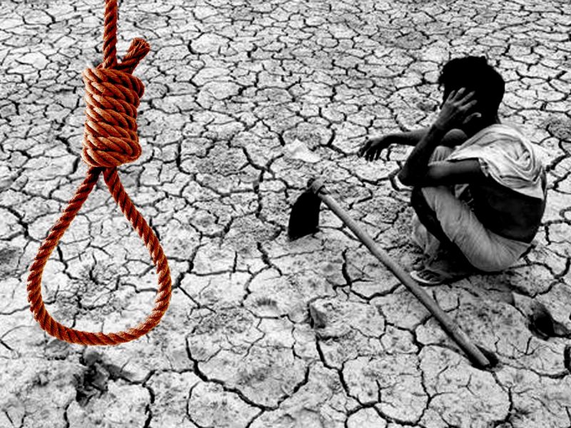 7 farmers commits suicide a day in maharashtra 1307 cases till the end of june this year 2018 | राज्यात दररोज 7 शेतकऱ्यांच्या आत्महत्या; 6 महिन्यांत 1307 शेतकऱ्यांनी संपवलं जीवन